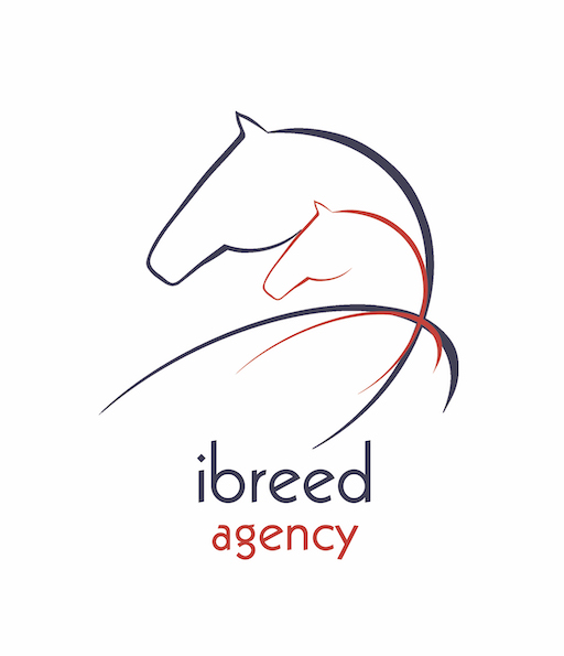 Ibreed Agency
